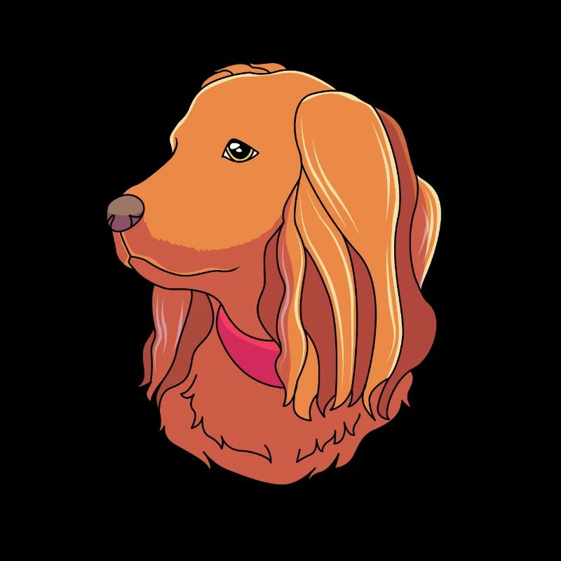 Boykin Spaniel