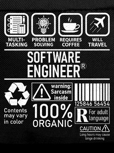Software Engineer multi tasking problem solving