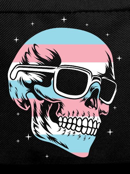 Transgender Trans LGBT Pride