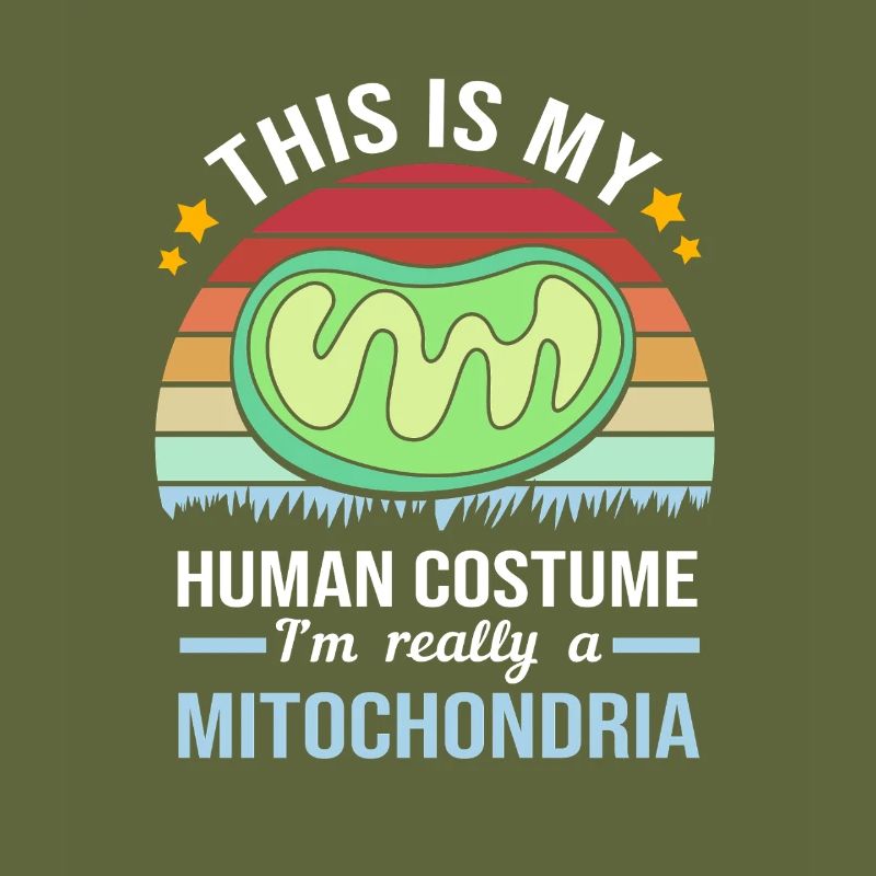 Molecule Structural Formula