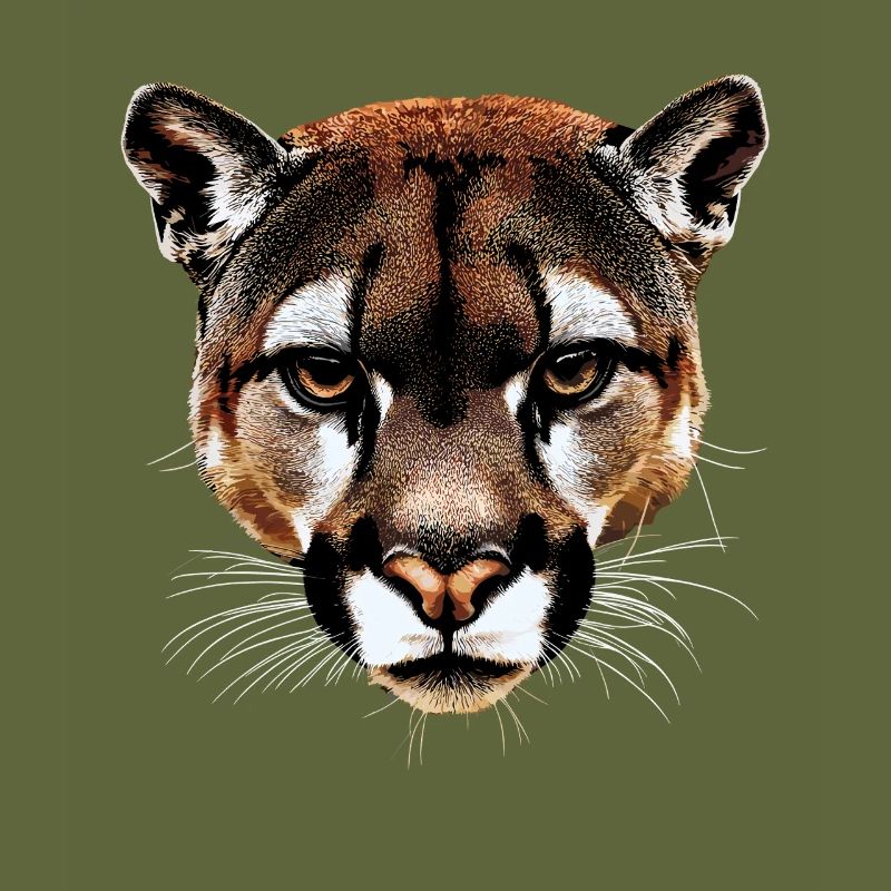 Panther Leopard Big Cat Cute Big Cat Cats
