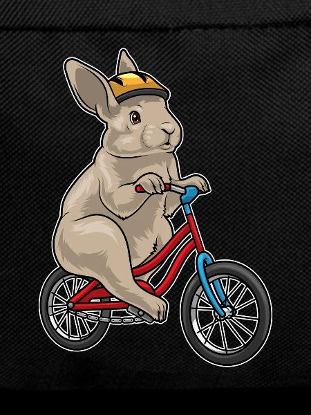Rabbit Bike
