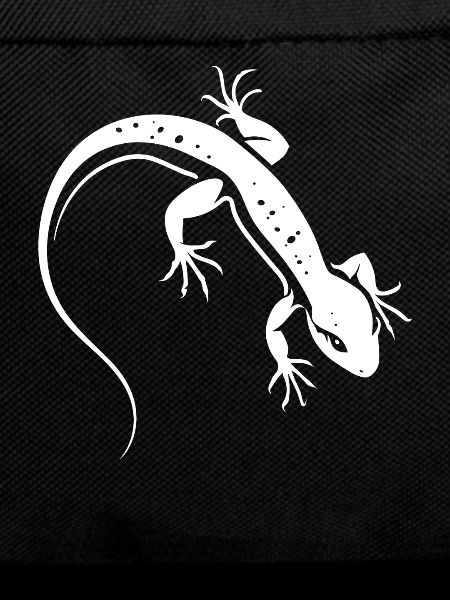 Lizard Silhouette Contrasting Salamander