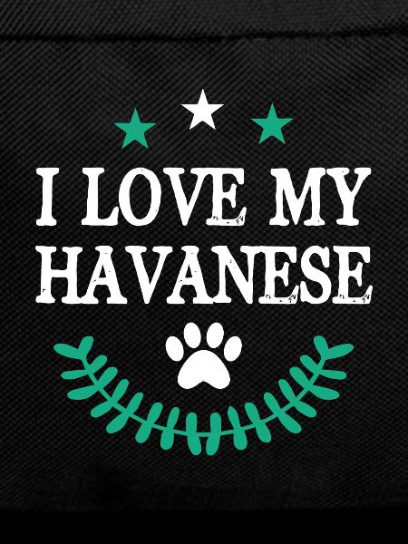 Havaneser