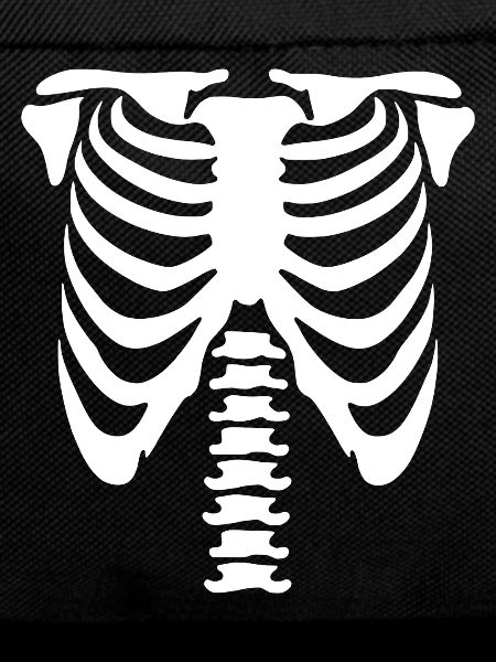 Skelett-Torso