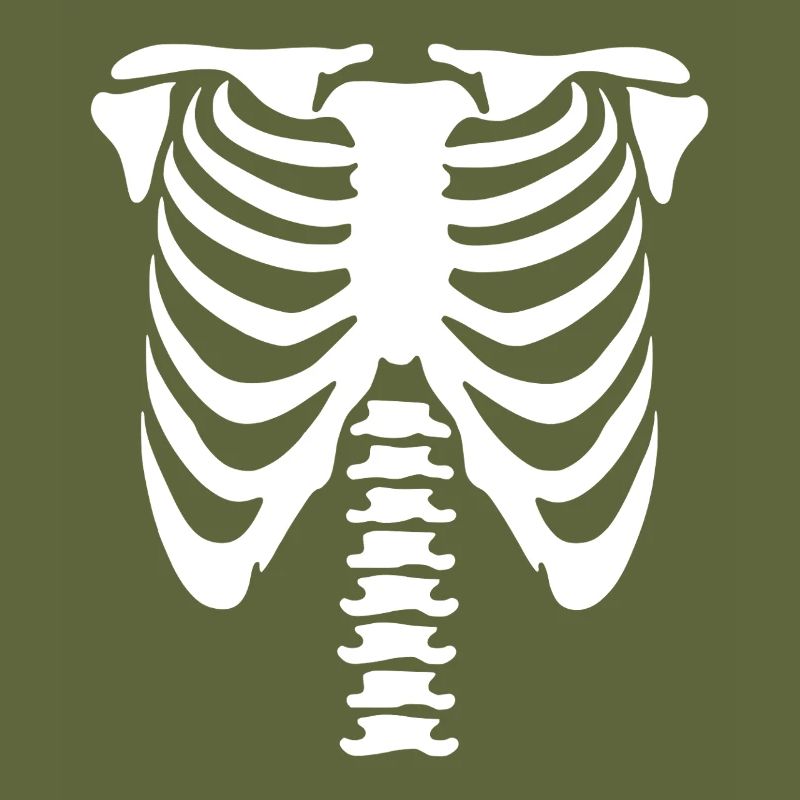 Skelett-Torso