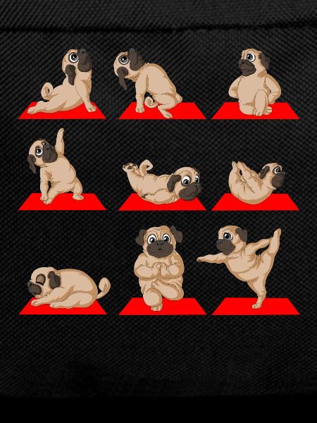 Mops Yoga Namaste Lustig