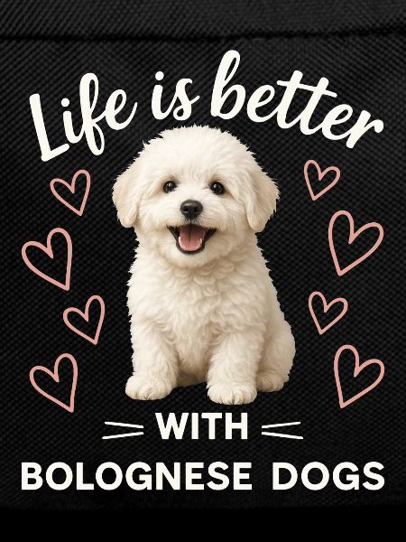 Bolognese Dog