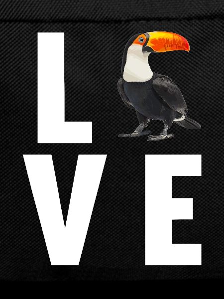 Toucans Toucan