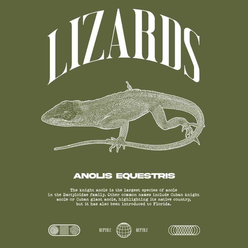 Kubanischer Ritter Anole Reptilienhalter Eidechse