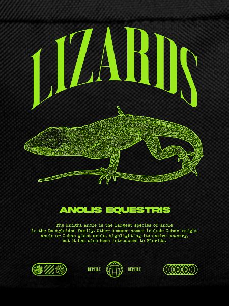 Cuban Knight Anole Reptile Keeper Lizard