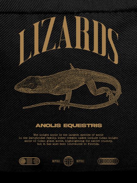 Cuban Knight Anole Reptile Keeper Lizard