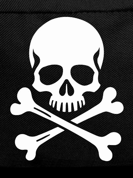 Classic Jolly Roger Skull