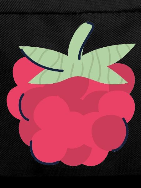 Himbeere Pop Art Beere
