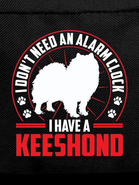 Wolfspitz is alarm German Wolfspitz