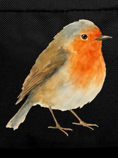 Robin aquarelle