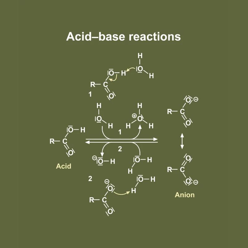 Réactions Acide Base Illustrées