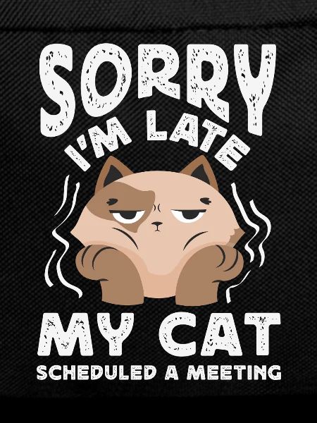 Sorry I'm late.