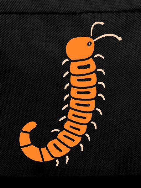 mille-pattes