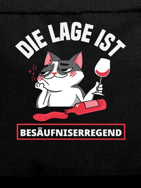 The situation is drunken, cat