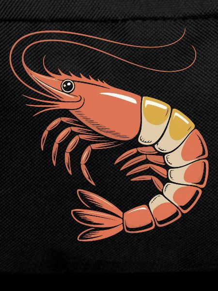 Red Shrimp Cartoon