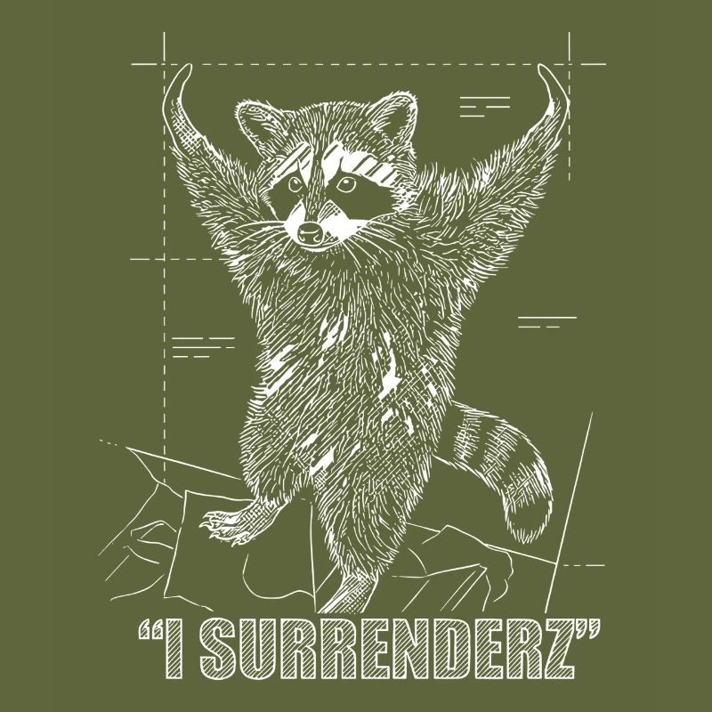 Raccoon Meme