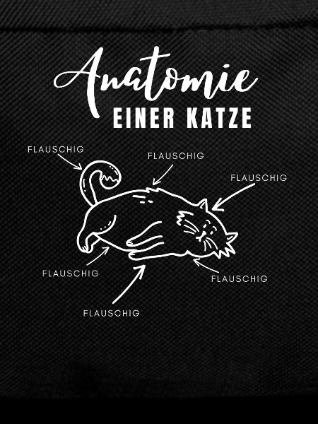Anatomy of a cat – everything fluffy