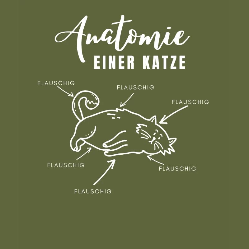 Anatomie einer Katze – alles flauschig