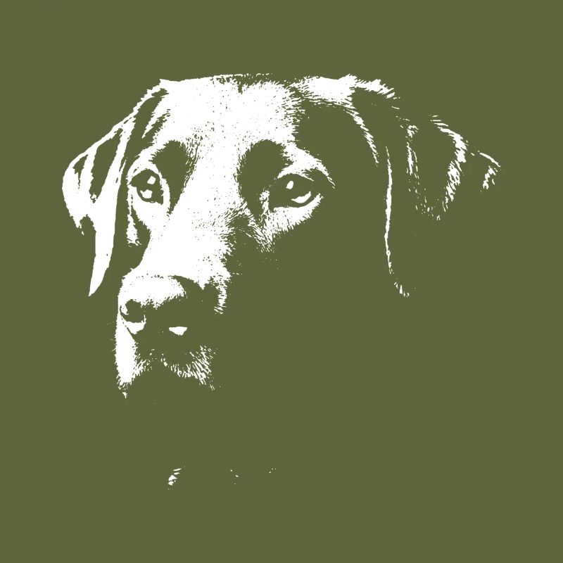 Stylish Labrador design