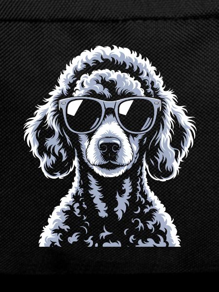 Caniche blanc