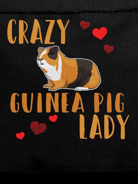 La folle cochon d’Inde