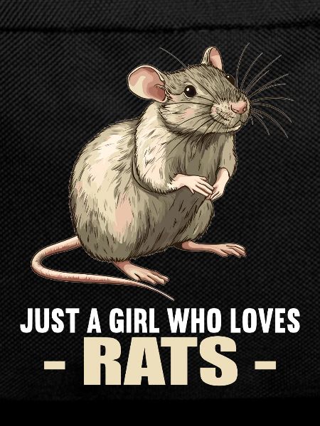 Ratten Ratte