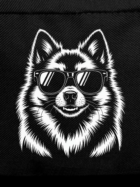 White Spitz Dog Pomeranian
