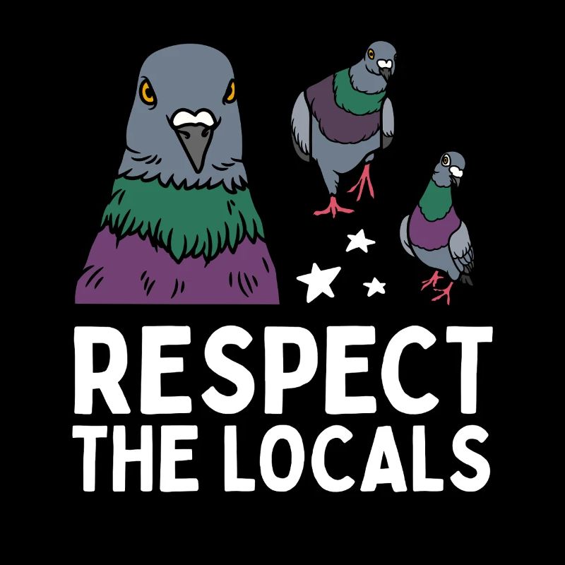 Respect les locaux Pigeons coo