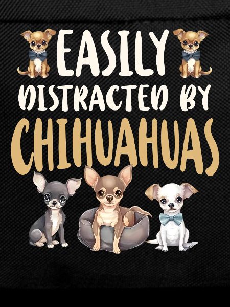 Chihuahua Chihuahueño Easily
