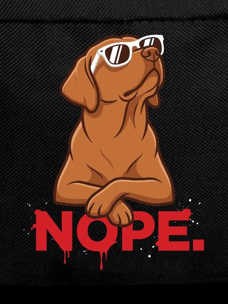 Nope. – Cool Foxred Labbi with sunglasses