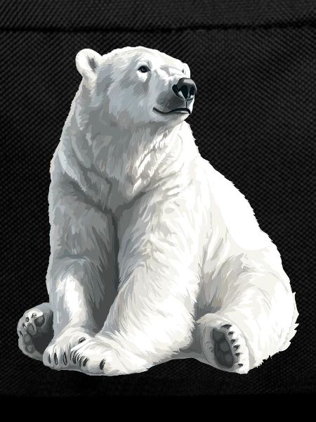 Polar Bär Illustration Eislicht