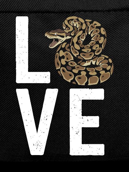 Königspython Schlangen LOVE Terrarium Python