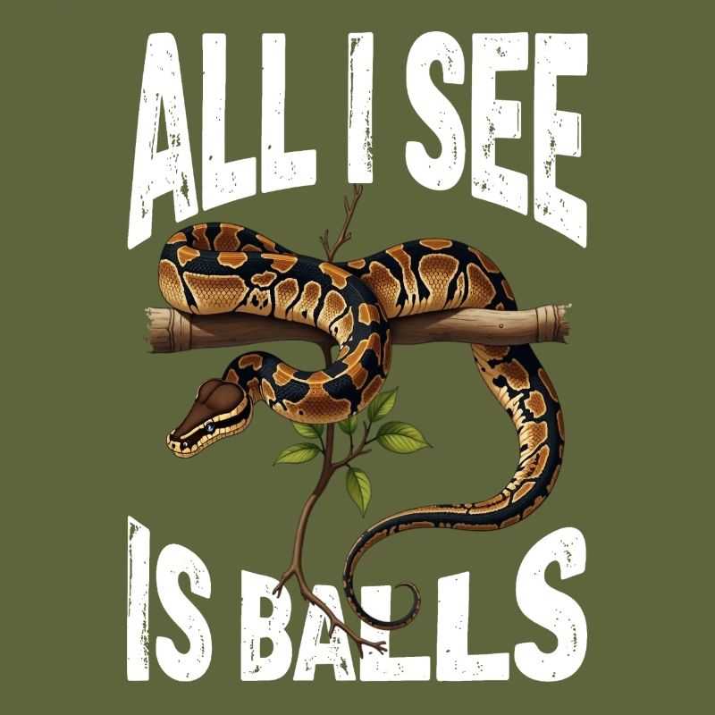 Python roi Serpents Amateurs de terrarium Python