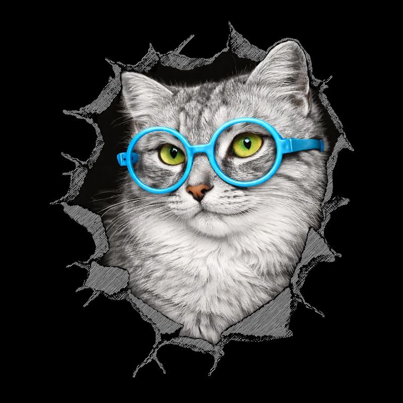 Süße Katze – Blaue Brille Mixed Media Kunst