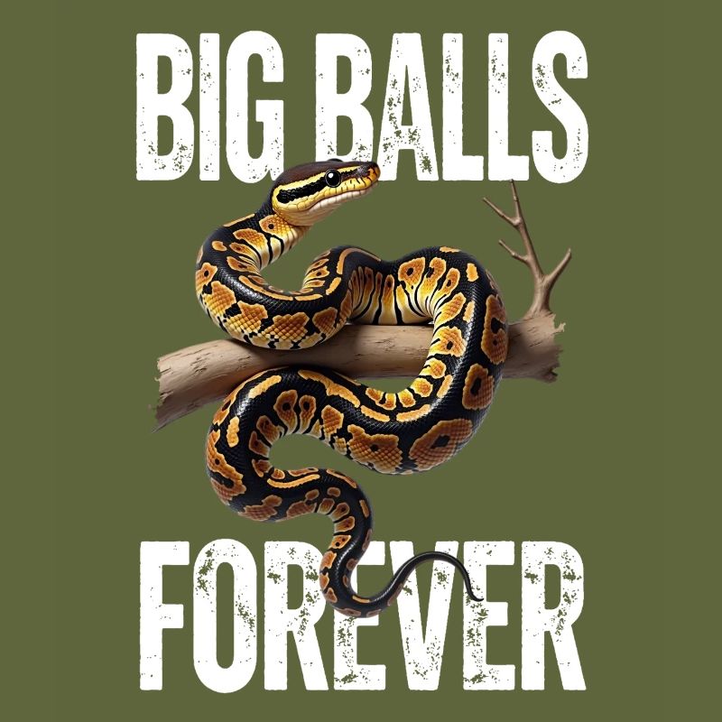 Python roi Serpents Amateurs de terrarium Python