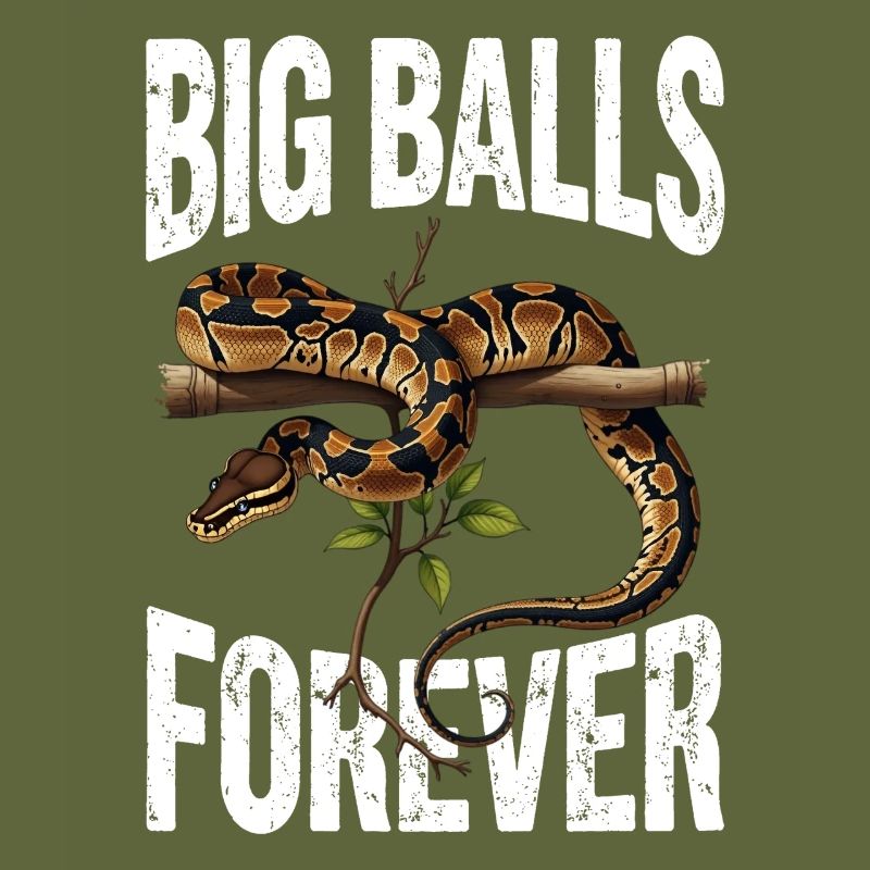 Python roi Serpents Amateurs de terrarium Python