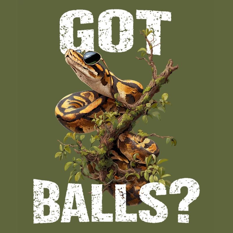 Python roi Serpents Amateurs de terrarium Python