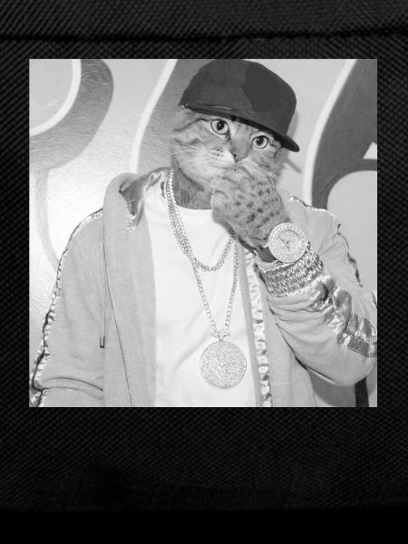 Cat rapper street style