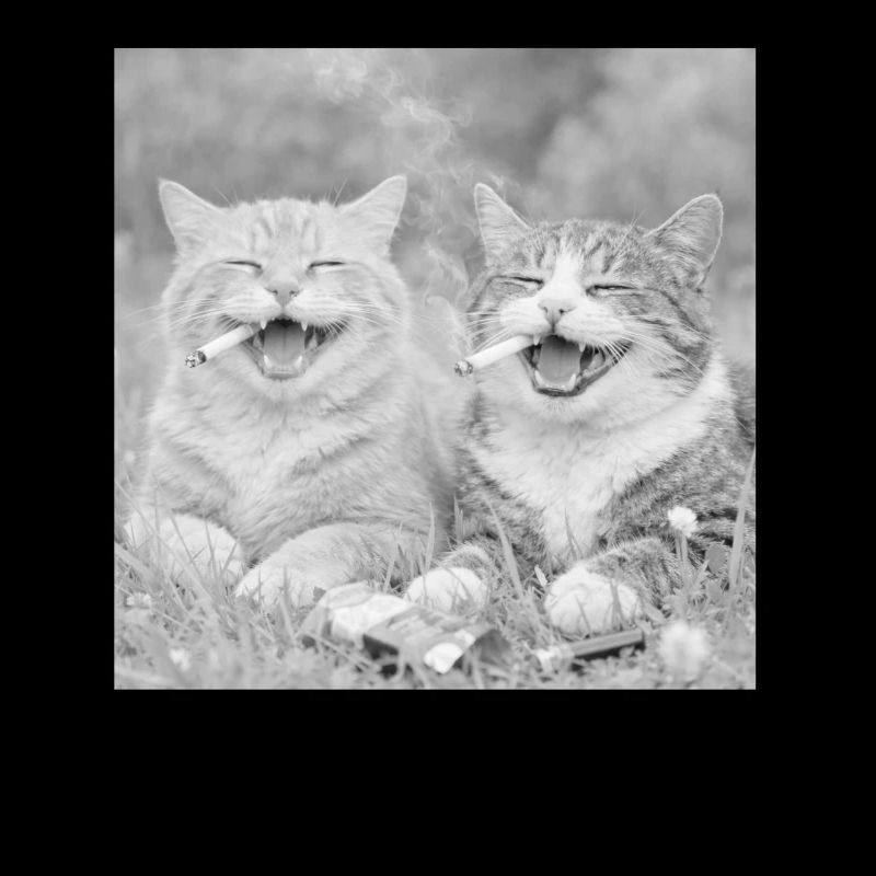 Lustiges Katzen design 