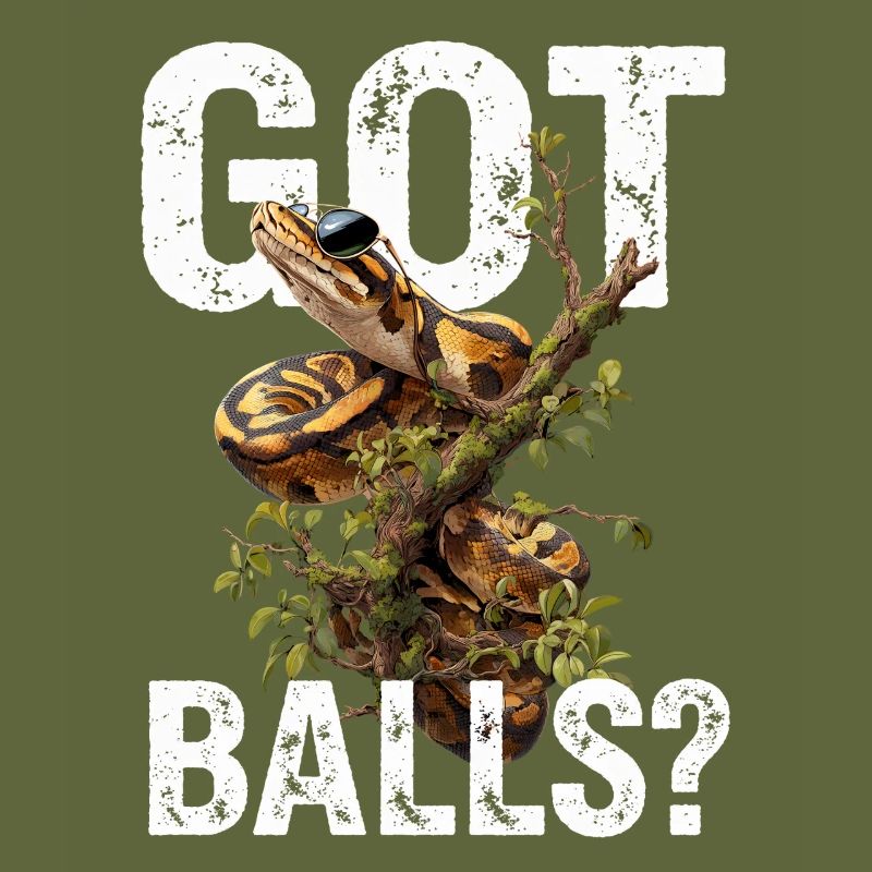 Königspython Schlangen Liebhaber Terrarium Python