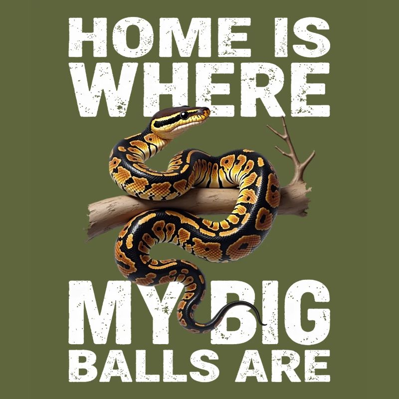 Königspython Schlangen Liebhaber Terrarium Python