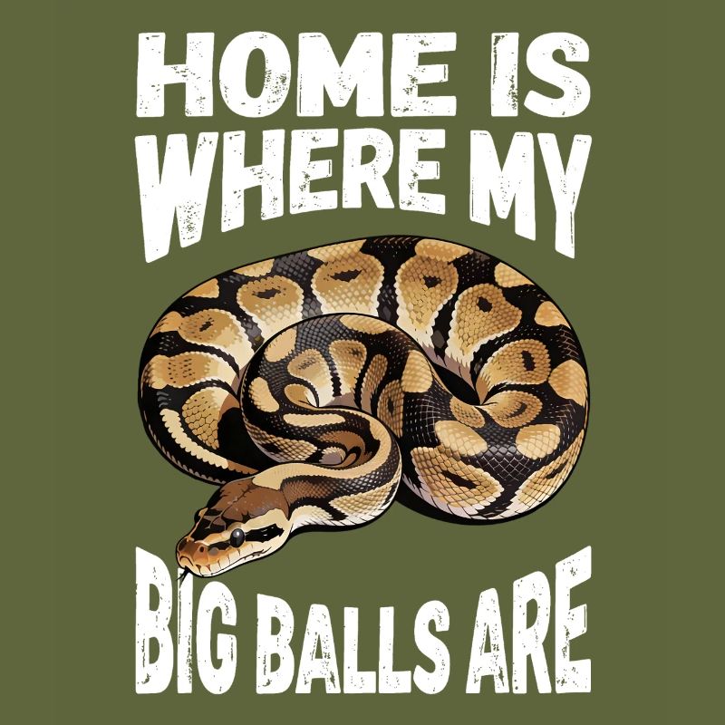 Königspython Schlangen Liebhaber Terrarium Python