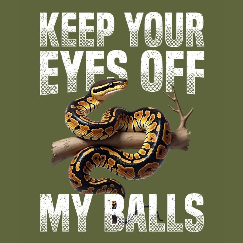 Königspython Schlangen Liebhaber Terrarium Python