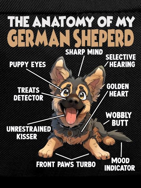German Shepherd Dog Owner Dog Lover